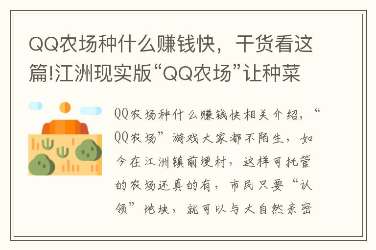QQ农场种什么赚钱快，干货看这篇!江洲现实版“QQ农场”让种菜成为乐趣 ,想当“都市农夫” 不妨去看看!
