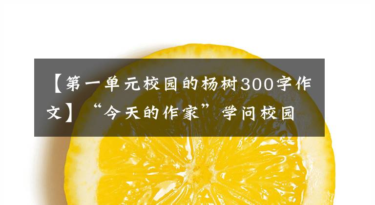 【第一单元校园的杨树300字作文】“今天的作家”学问校园里的白杨(散文)