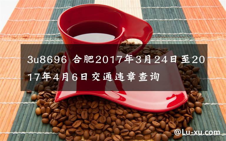 3u8696 合肥2017年3月24日至2017年4月6日交通违章查询