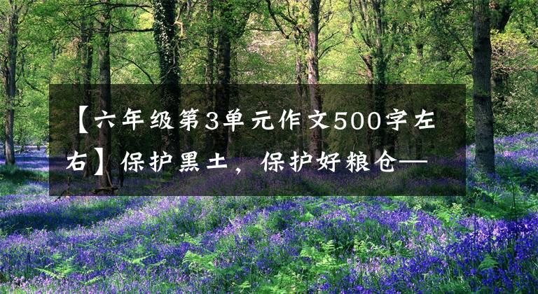 【六年级第3单元作文500字左右】保护黑土，保护好粮仓——，对来自东北“黄金玉米带”的田野进行新的观察。