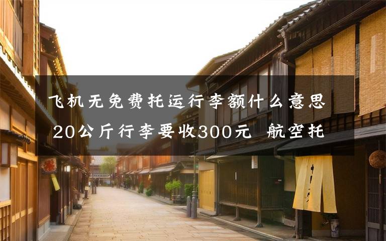 飞机无免费托运行李额什么意思 20公斤行李要收300元  航空托运费让人看不懂