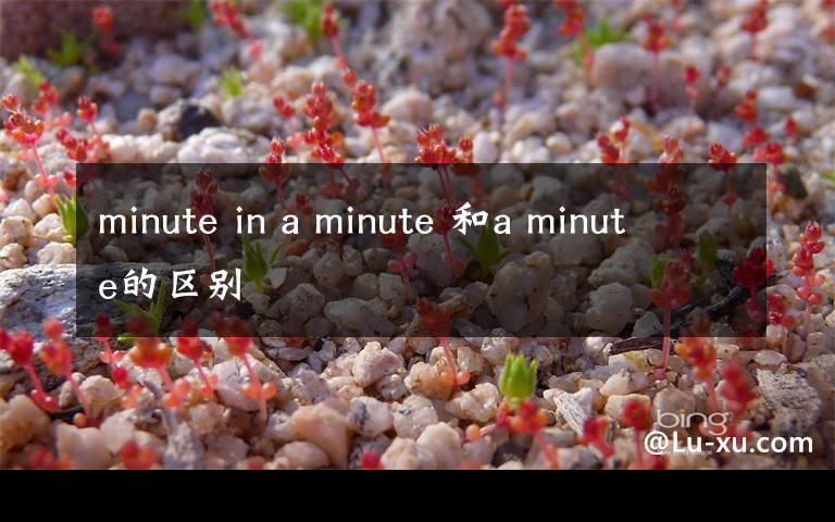 minute in a minute 和a minute的区别