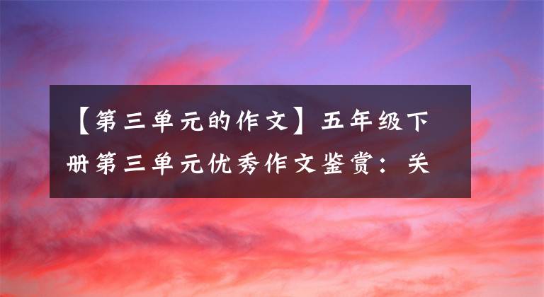 【第三单元的作文】五年级下册第三单元优秀作文鉴赏：关于压岁钱和阅读的调查报告。