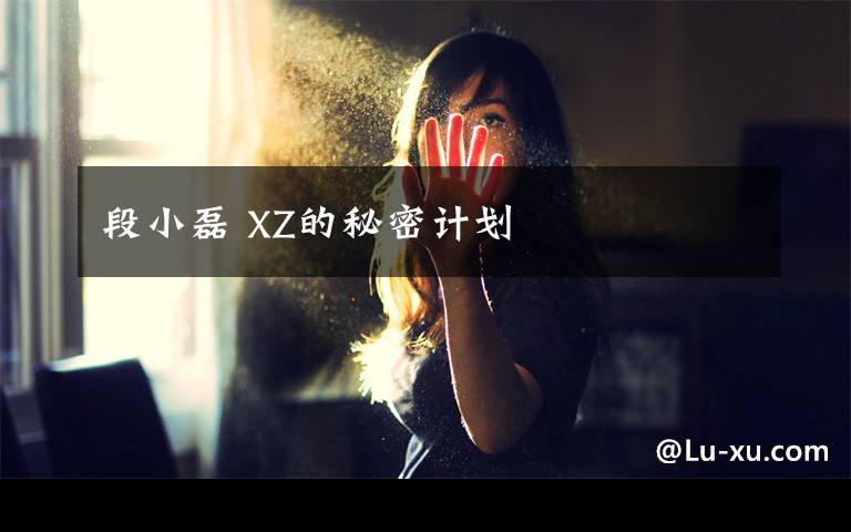 段小磊xz的秘密计划