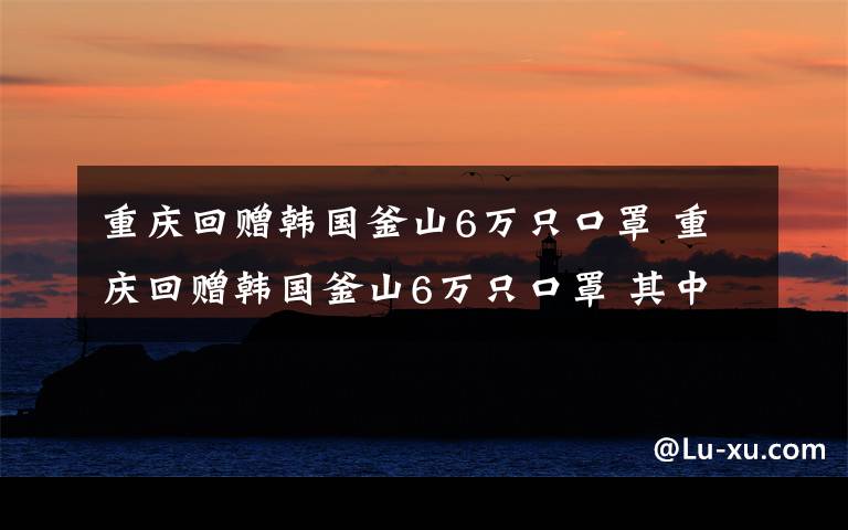 重庆回赠韩国釜山6万只口罩 重庆回赠韩国釜山6万只口罩 其中包括1万只N95口罩