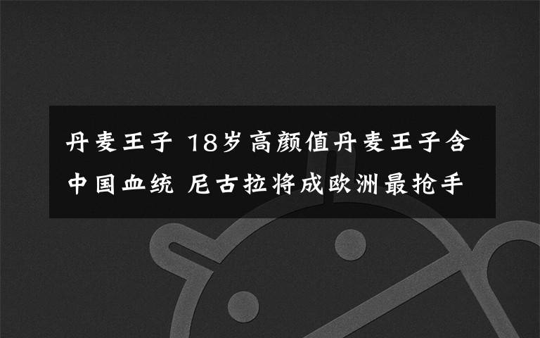 丹麦王子 18岁高颜值丹麦王子含中国血统 尼古拉将成欧洲最抢手单身王族？