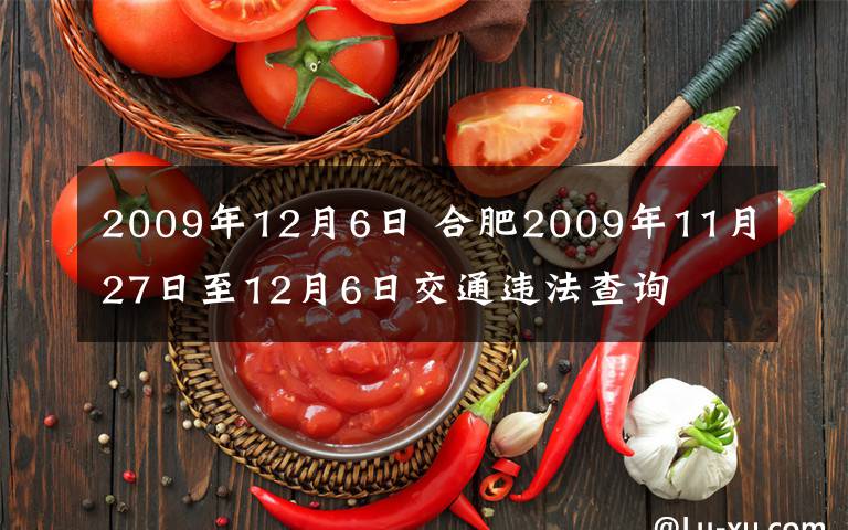 2009年12月6日 合肥2009年11月27日至12月6日交通违法查询