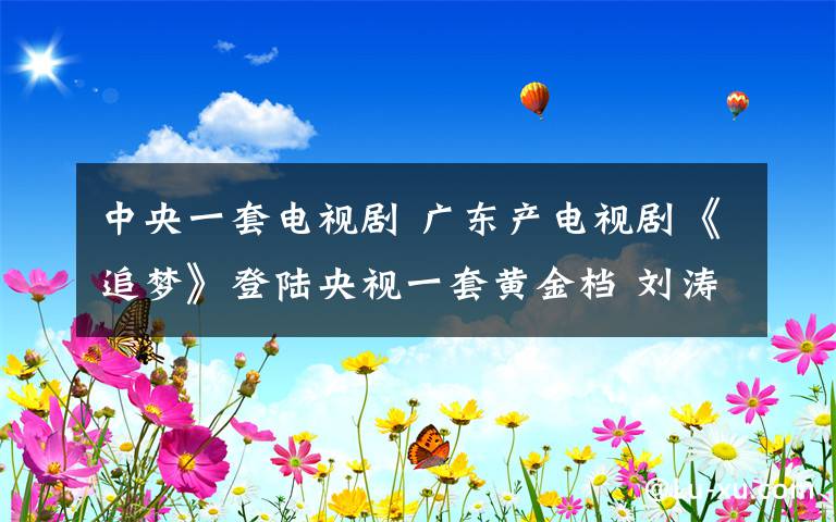 中央一套电视剧 广东产电视剧《追梦》登陆央视一套黄金档 刘涛王雷演绎深圳40年创业故事