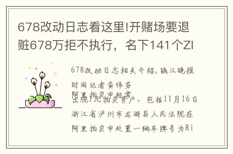 678改动日志看这里!开赌场要退赃678万拒不执行，名下141个ZIPPO打火机、多个大牌手表1元起拍