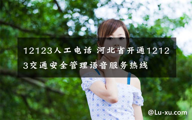 12123人工电话 河北省开通12123交通安全管理语音服务热线