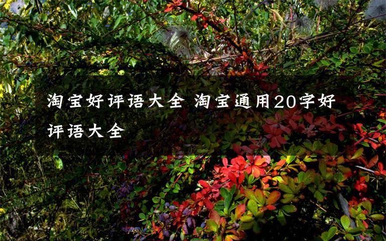 淘宝好评语大全 淘宝通用20字好评语大全