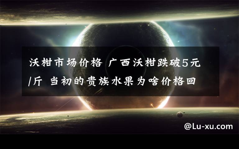 沃柑市场价格 广西沃柑跌破5元/斤 当初的贵族水果为啥价格回落