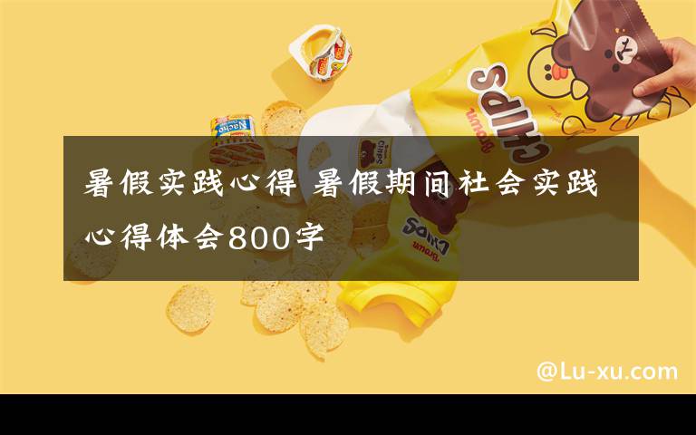 暑假实践心得 暑假期间社会实践心得体会800字文章配图