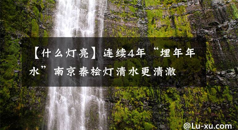 【什么灯亮】连续4年“埋年年水”南京秦桧灯清水更清澈