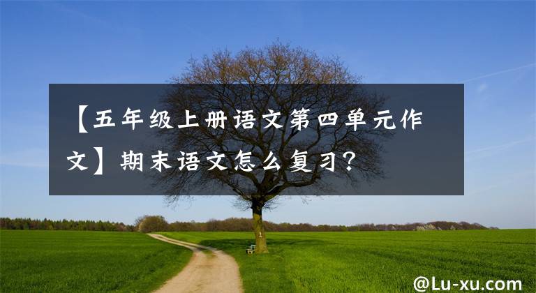 【五年级上册语文第四单元作文】期末语文怎么复习？