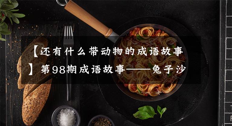 【还有什么带动物的成语故事】第98期成语故事——兔子沙湖飞投鼠禁忌