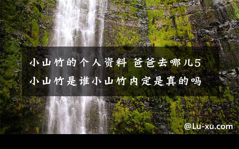 小山竹的个人资料 爸爸去哪儿5小山竹是谁小山竹内定是真的吗 小山竹家庭背景曝光小山竹个人资料