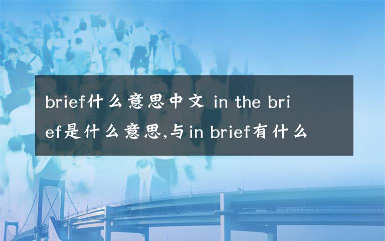 brief什么意思中文 in the brief是什么意思,与in brief有什么区别?
