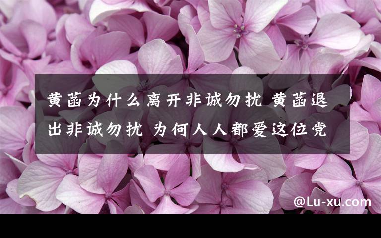 黄菡为什么离开非诚勿扰 黄菡退出非诚勿扰 为何人人都爱这位党校政治老师