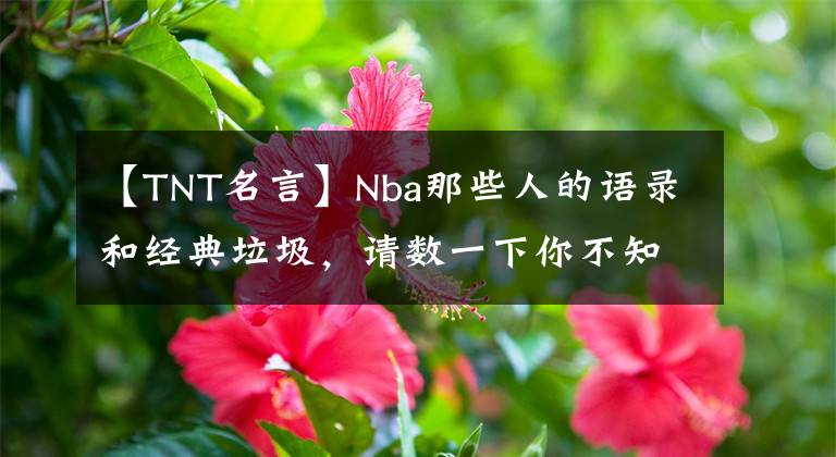 【TNT名言】Nba那些人的语录和经典垃圾，请数一下你不知道的NBA往事。