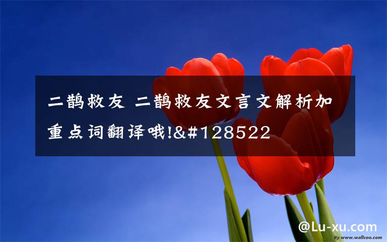 二鹊救友二鹊救友文言文解析加重点词翻译哦