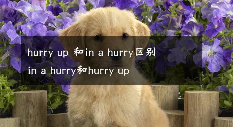 hurry up 和in a hurry区别 in a hurry和hurry up