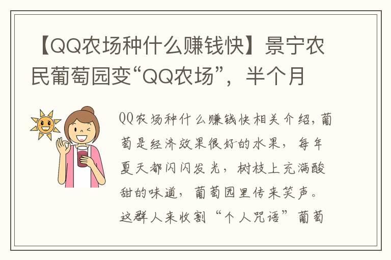 【QQ农场种什么赚钱快】景宁农民葡萄园变“QQ农场”，半个月认领完，30亩赚了30万，啥样