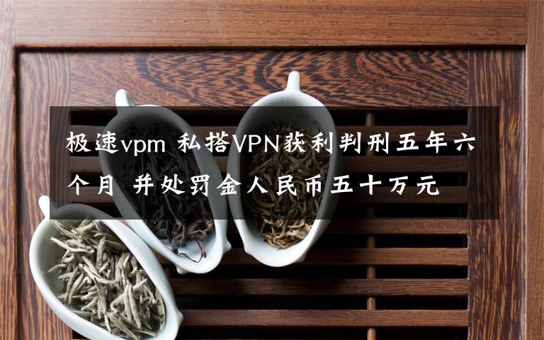 极速vpm 私搭VPN获利判刑五年六个月 并处罚金人民币五十万元