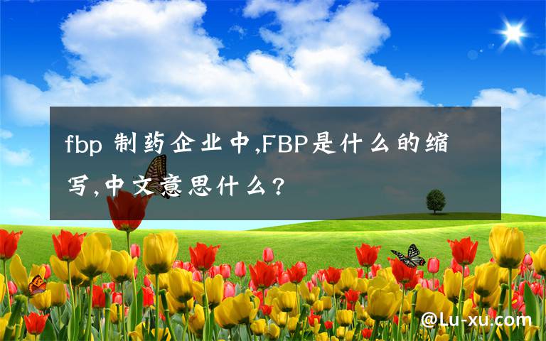 fbp 制药企业中,FBP是什么的缩写,中文意思什么?