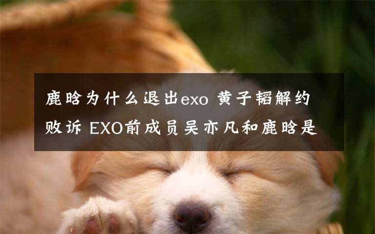 鹿晗为什么退出exo 黄子韬解约败诉 EXO前成员吴亦凡和鹿晗是怎么解决的？