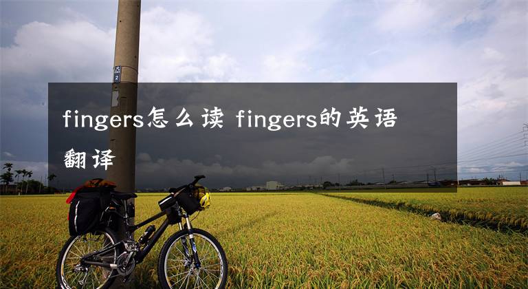 fingers怎么读 fingers的英语翻译