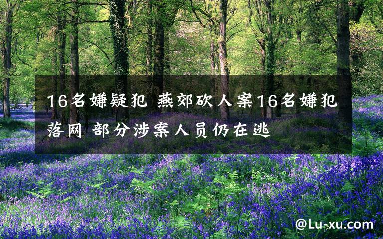 16名嫌疑犯 燕郊砍人案16名嫌犯落网 部分涉案人员仍在逃文章配图