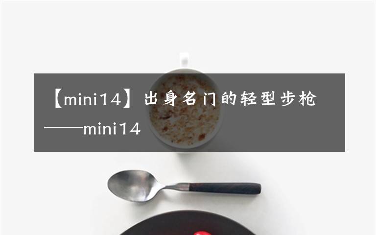 【mini14】出身名门的轻型步枪——mini14