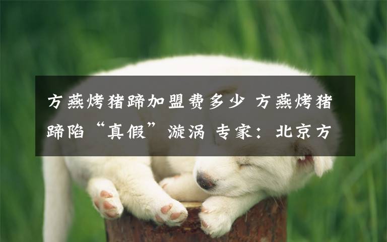 方燕烤猪蹄加盟费多少 方燕烤猪蹄陷“真假”漩涡 专家：北京方燕有抢注商标嫌疑