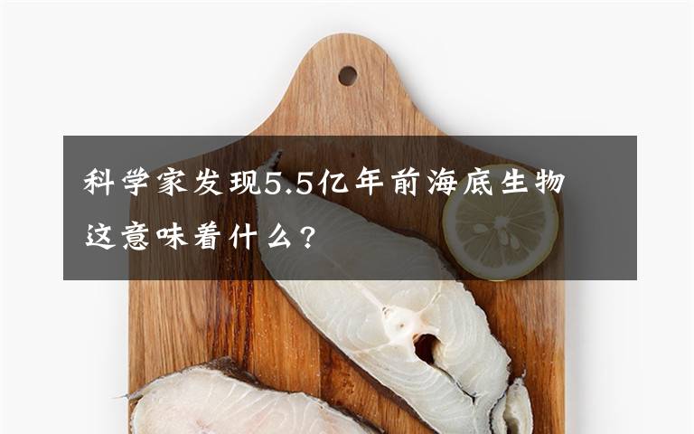 科学家发现5.5亿年前海底生物 这意味着什么?