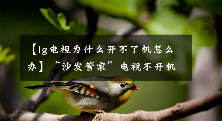 【lg电视为什么开不了机怎么办】“沙发管家”电视不开机，怎么了？指示灯是亮的、闪烁的还是熄灭的？文章配图