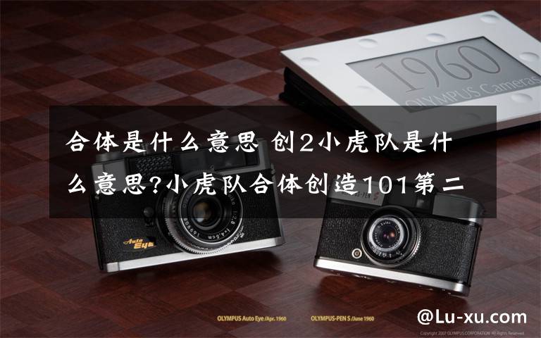 合体是什么意思 创2小虎队是什么意思?小虎队合体创造101第二季真的吗?文章配图