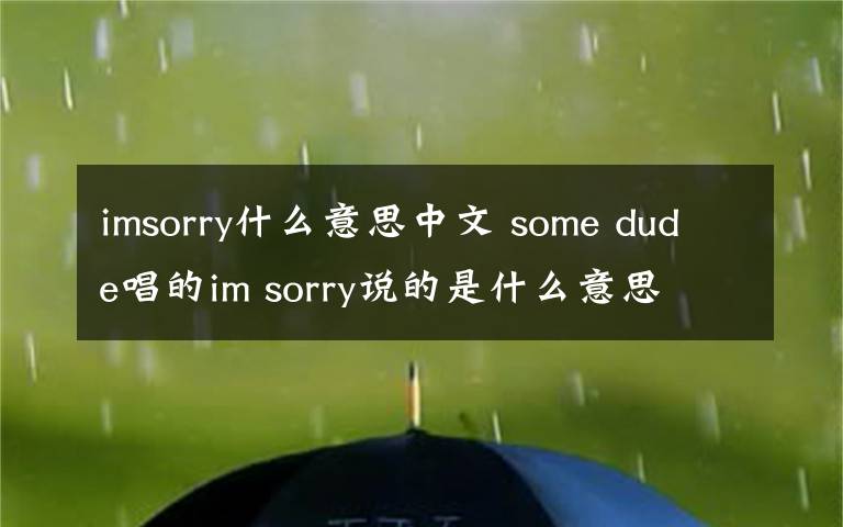 imsorry什么意思中文 some dude唱的im sorry说的是什么意思