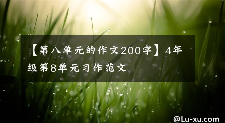 【第八单元的作文200字】4年级第8单元习作范文