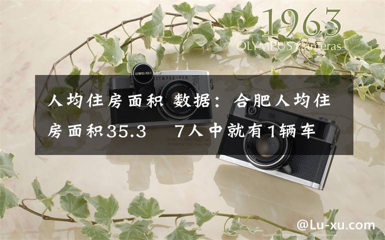 人均住房面积 数据：合肥人均住房面积35.3㎡ 7人中就有1辆车