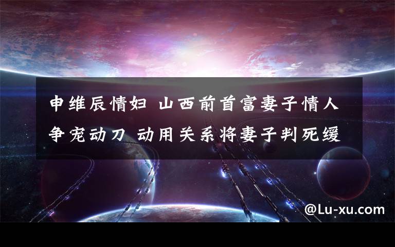 申维辰情妇 山西前首富妻子情人争宠动刀 动用关系将妻子判死缓