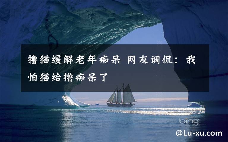 撸猫缓解老年痴呆 网友调侃：我怕猫给撸痴呆了