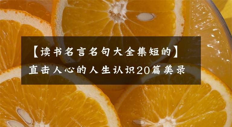 【读书名言名句大全集短的】直击人心的人生认识20篇美录阅读节选(4)