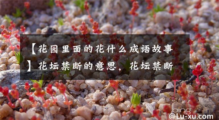 【花园里面的花什么成语故事】花坛禁断的意思，花坛禁断的文章