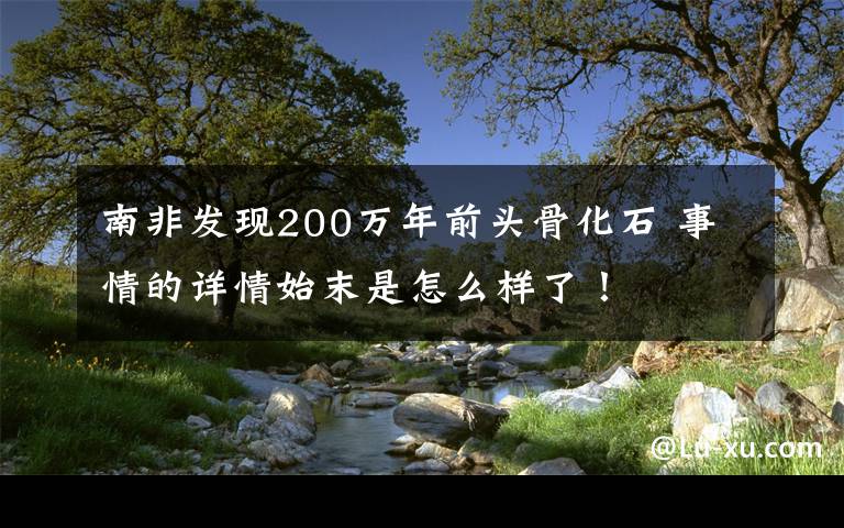 南非发现200万年前头骨化石 事情的详情始末是怎么样了！