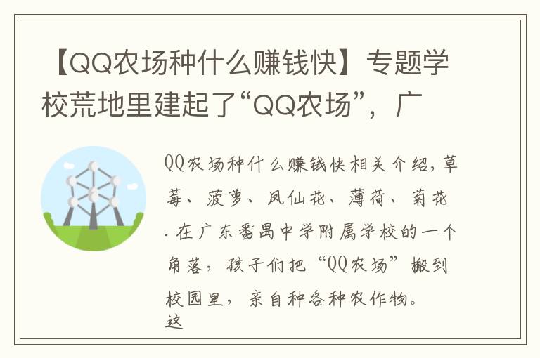 【QQ农场种什么赚钱快】专题学校荒地里建起了“QQ农场”，广州48所学校获评“5A级校园小农田”