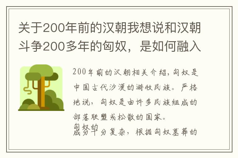关于200年前的汉朝我想说和汉朝斗争200多年的匈奴，是如何融入了汉族之中