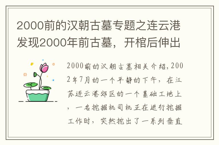 2000前的汉朝古墓专题之连云港发现2000年前古墓，开棺后伸出一条大白腿，专家：快点盖上