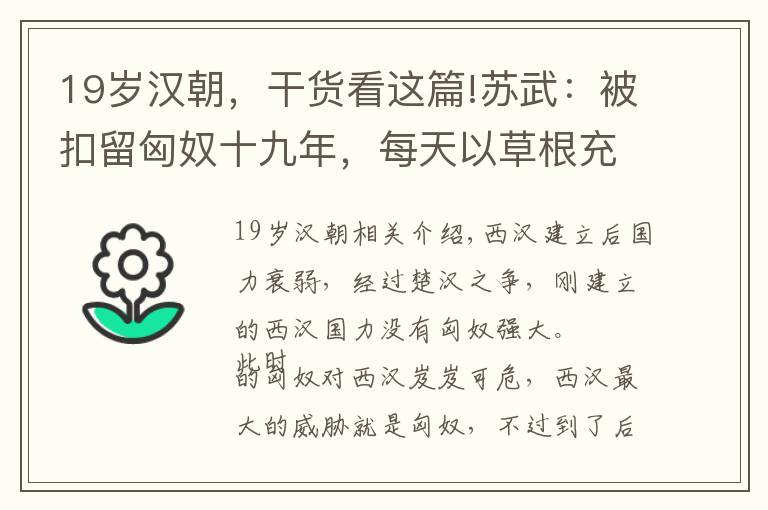 19岁汉朝，干货看这篇!苏武：被扣留匈奴十九年，每天以草根充饥，始终没有背叛汉朝