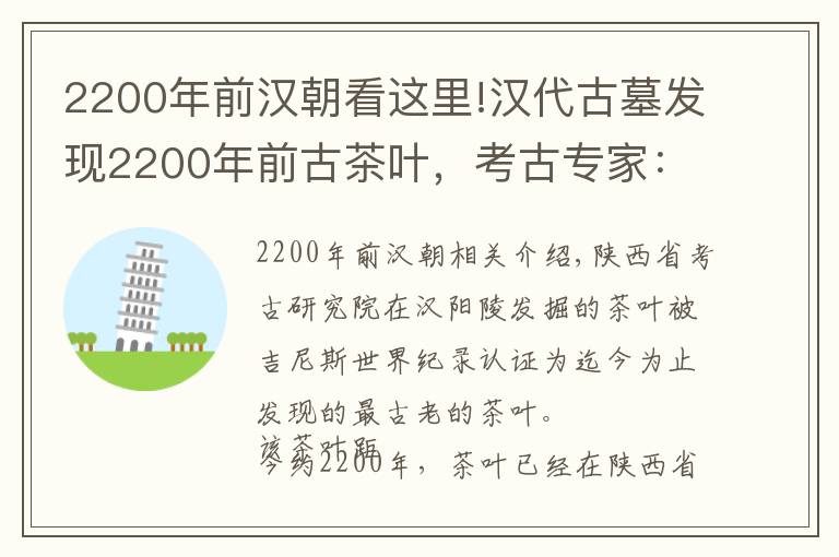 2200年前汉朝看这里!汉代古墓发现2200年前古茶叶，考古专家：绝无仅有的皇帝专用茶叶